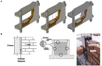 Modeling Strategies of Ductile Masonry Infills for the Reduction of the Seismic Vulnerability of RC Frames